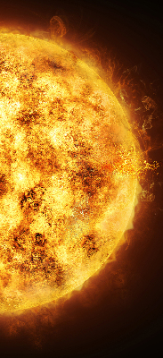 Rolgordijn voor het raam Geel gaas