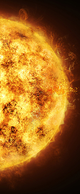 Rolgordijn voor het raam Geel gaas