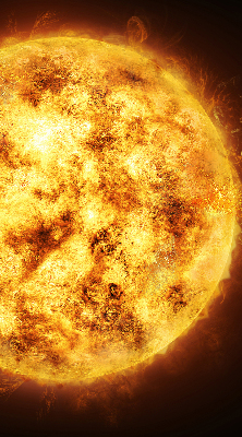 Rolgordijn voor het raam Geel gaas