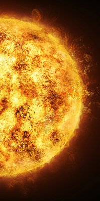 Rolgordijn voor het raam Geel gaas