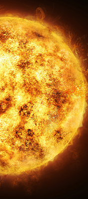 Rolgordijn voor het raam Geel gaas