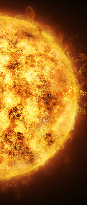 Rolgordijn voor het raam Geel gaas