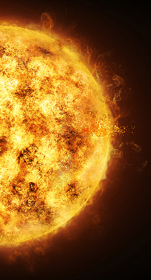 Rolgordijn voor het raam Geel gaas