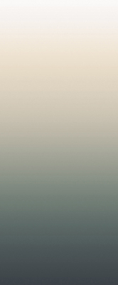 Rolgordijn voor het raam Vervagen