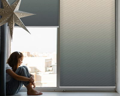 Rolgordijn voor het raam Vervagen