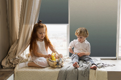 Rolgordijn voor het raam Vervagen