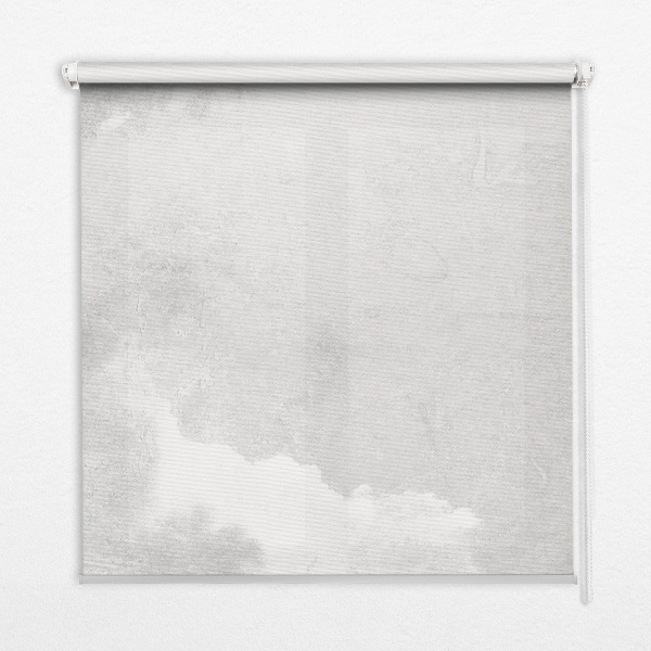 Rolgordijn voor het raam Grijze lucht