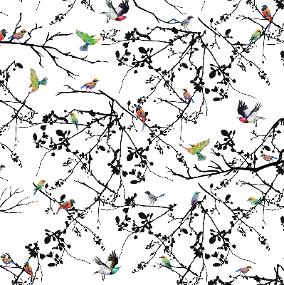 Rolgordijn voor het raam Vogels op de takken