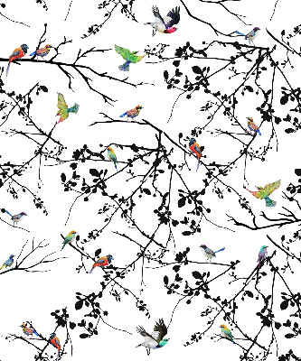 Rolgordijn voor het raam Vogels op de takken