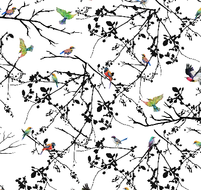 Rolgordijn voor het raam Vogels op de takken