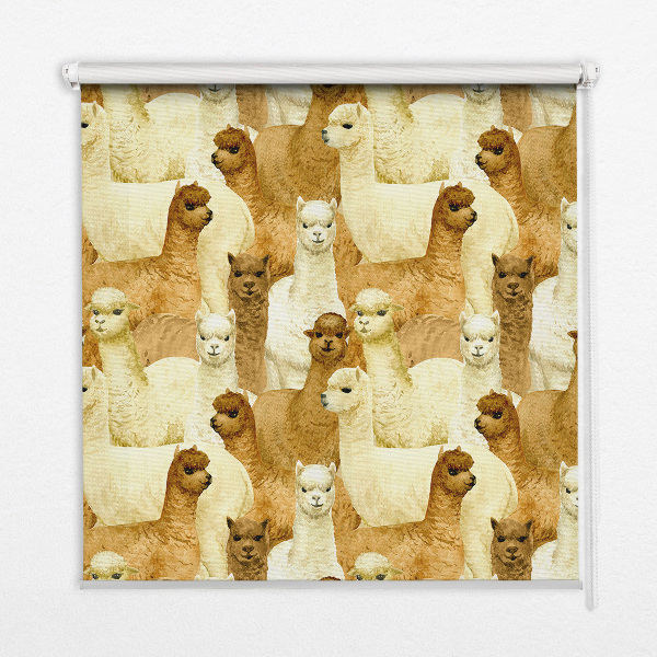 Rolgordijn verduisterend Een kudde alpaca's