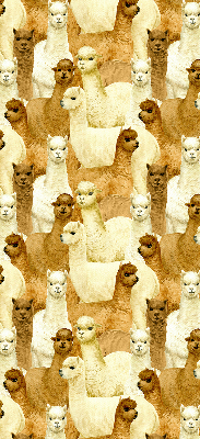 Rolgordijn verduisterend Een kudde alpaca's