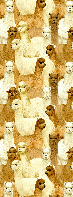 Rolgordijn verduisterend Een kudde alpaca's