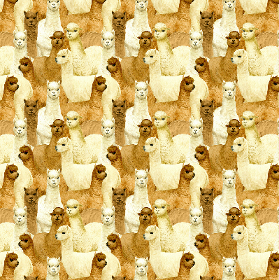 Rolgordijn verduisterend Een kudde alpaca's