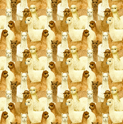 Rolgordijn verduisterend Een kudde alpaca's