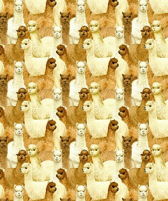 Rolgordijn verduisterend Een kudde alpaca's