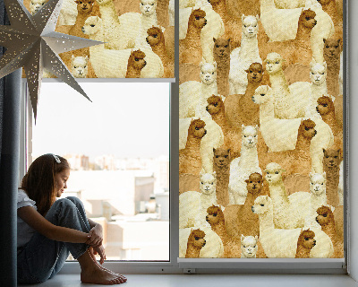 Rolgordijn verduisterend Een kudde alpaca's