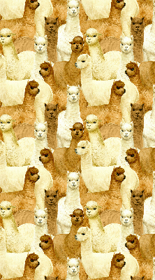Rolgordijn verduisterend Een kudde alpaca's
