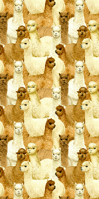 Rolgordijn verduisterend Een kudde alpaca's