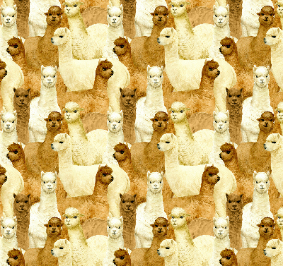 Rolgordijn verduisterend Een kudde alpaca's