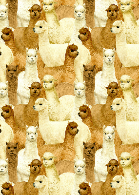Rolgordijn verduisterend Een kudde alpaca's