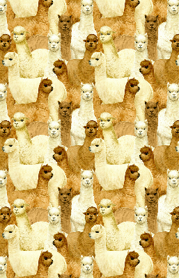 Rolgordijn verduisterend Een kudde alpaca's
