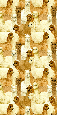 Rolgordijn verduisterend Een kudde alpaca's