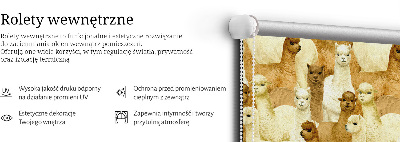 Rolgordijn verduisterend Een kudde alpaca's