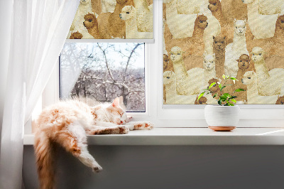 Rolgordijn verduisterend Een kudde alpaca's