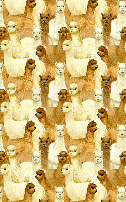 Rolgordijn verduisterend Een kudde alpaca's