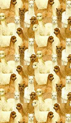 Rolgordijn verduisterend Een kudde alpaca's