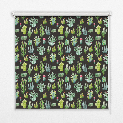 Rolgordijn verduisterend Cactussen