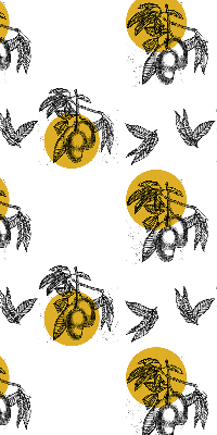 Rolgordijn voor het raam Fruit en gele cirkels