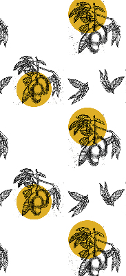 Rolgordijn voor het raam Fruit en gele cirkels