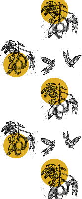 Rolgordijn voor het raam Fruit en gele cirkels