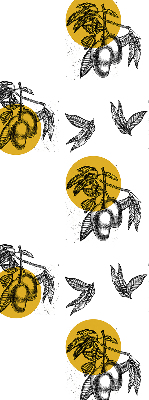 Rolgordijn voor het raam Fruit en gele cirkels