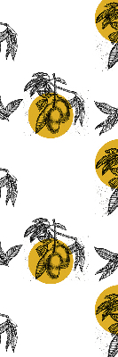 Rolgordijn voor het raam Fruit en gele cirkels