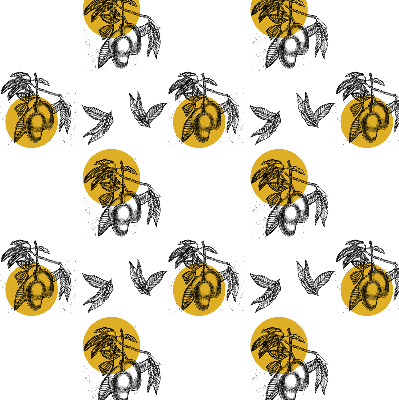 Rolgordijn voor het raam Fruit en gele cirkels