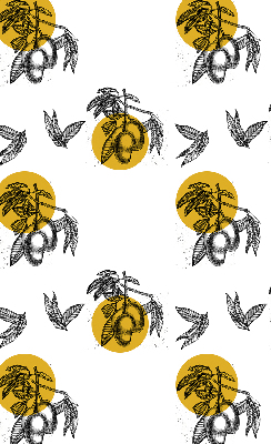 Rolgordijn voor het raam Fruit en gele cirkels