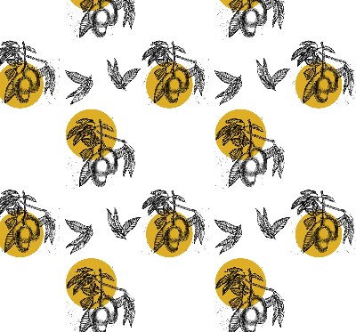 Rolgordijn voor het raam Fruit en gele cirkels