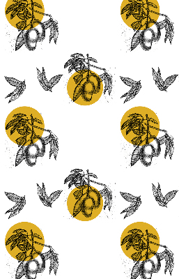 Rolgordijn voor het raam Fruit en gele cirkels