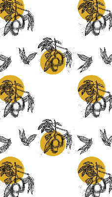 Rolgordijn voor het raam Fruit en gele cirkels