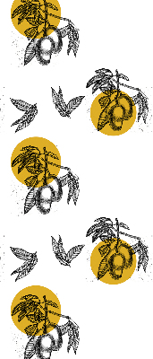 Rolgordijn voor het raam Fruit en gele cirkels