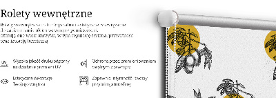 Rolgordijn voor het raam Fruit en gele cirkels