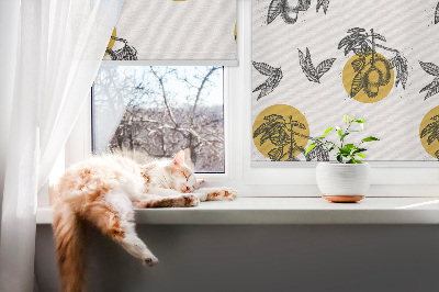 Rolgordijn voor het raam Fruit en gele cirkels