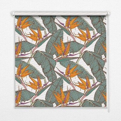 Rolgordijn voor het raam Groene bladeren