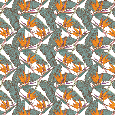 Rolgordijn voor het raam Groene bladeren