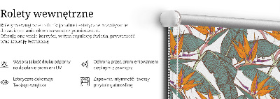 Rolgordijn voor het raam Groene bladeren