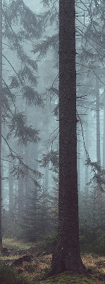 Rolgordijn voor het raam Bos 's nachts