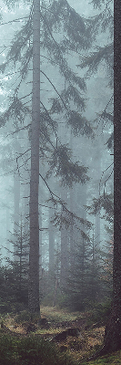 Rolgordijn voor het raam Bos 's nachts